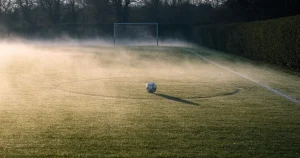 Kostenlose Wettprognosen 2026: Was die Quote kostet